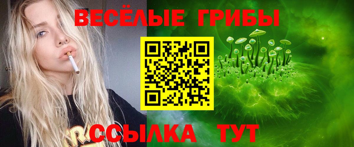 Псилоцибиновые грибы GOLDEN TEACHER  Вход с VPN  Кимовск 