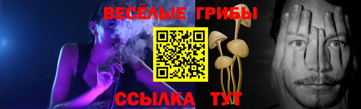 Псилоцибиновые грибы Psilocybe Кимовск